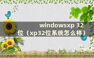 windowsxp 32位（xp32位系统怎么样）